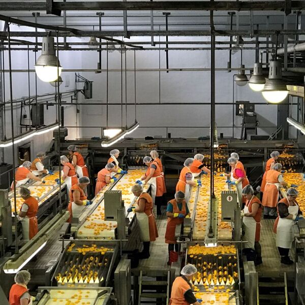 fabriek.JPG