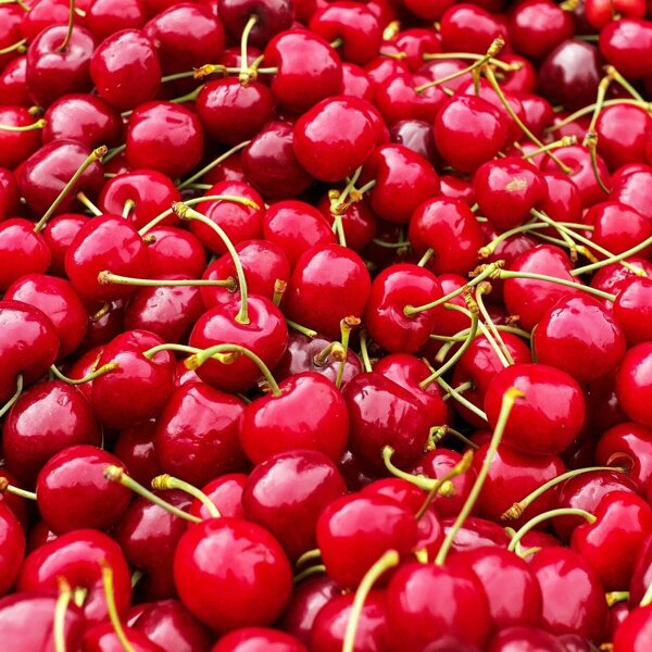 cherries-1465801_1920.jpg