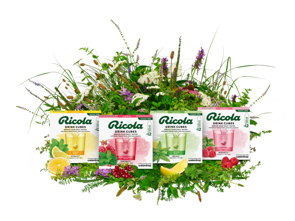 RIC_sRGB_Kraeuterbouquet_layers-Kopie-UPDATED.png