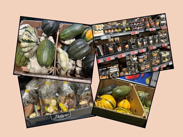 Ontwerp zonder titel (4).jpg