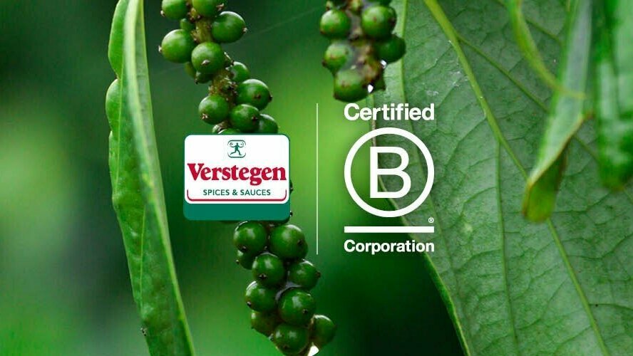 verstegen bcorp.jpg