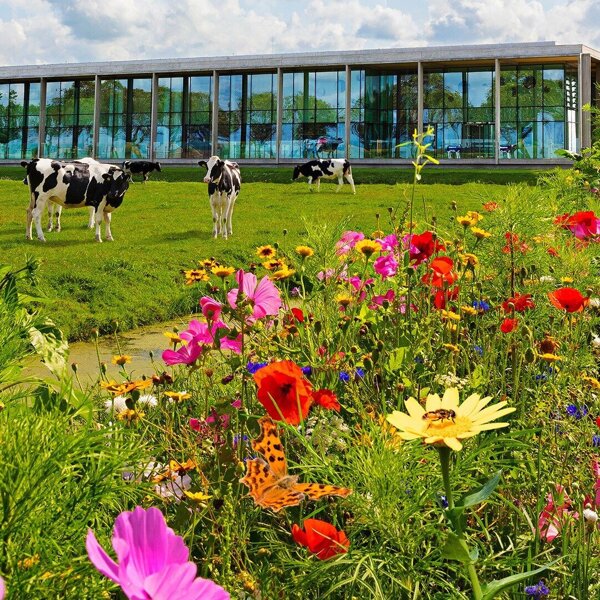 Bijenlint met kaasmakerij liggend - website resolutie (1).jpg