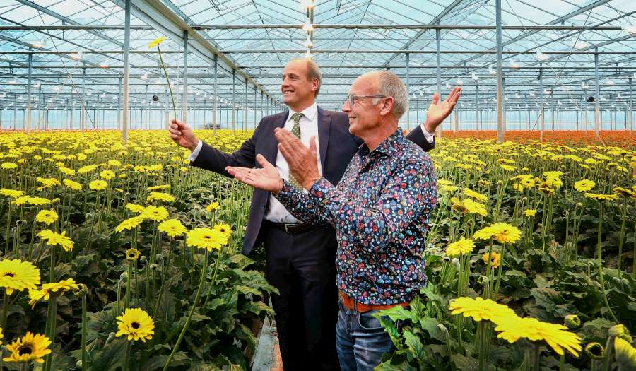 03-de-eerste-jumbo-bloem-wordt-geplukt-door-frits-van-eerd-ceo-van-jumbo-en-willem-batist-voorzitter-van-colours-of-nature-a900x525.jpg