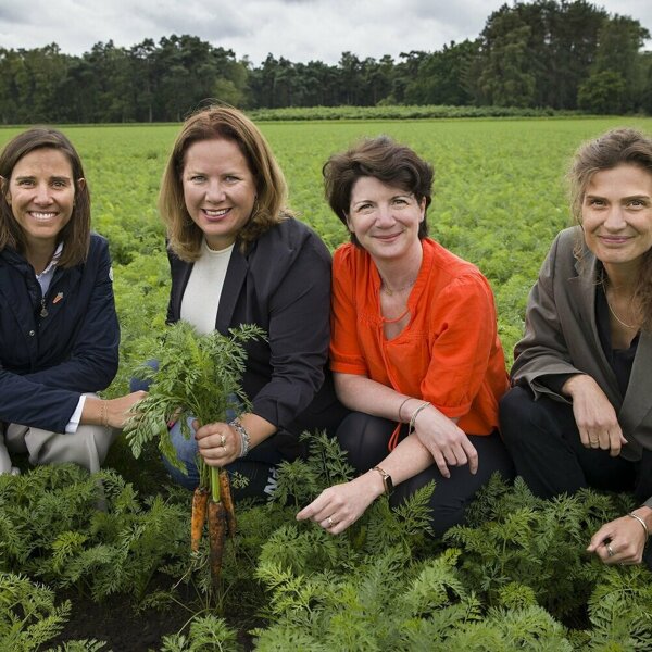 Wortel Collectief 3.jpg