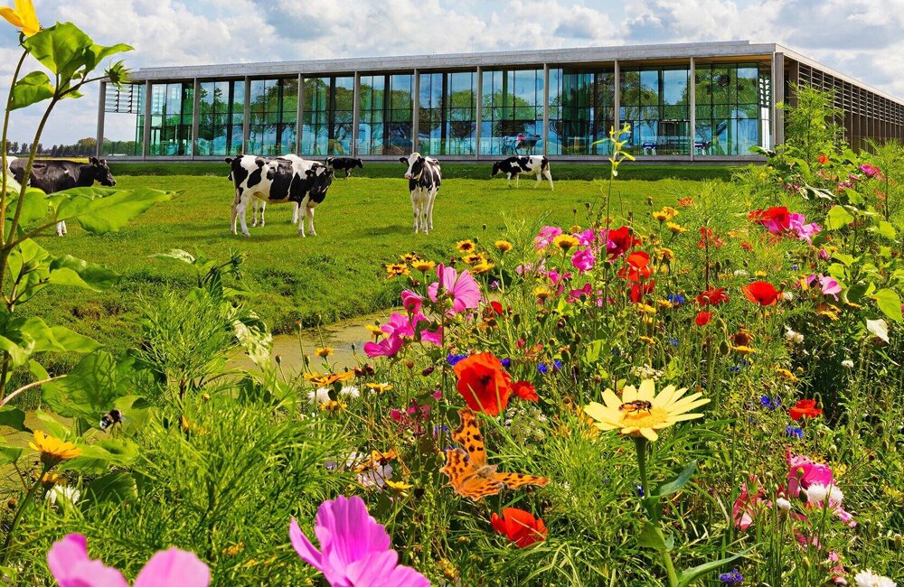 Bijenlint met kaasmakerij liggend - website resolutie (1).jpg